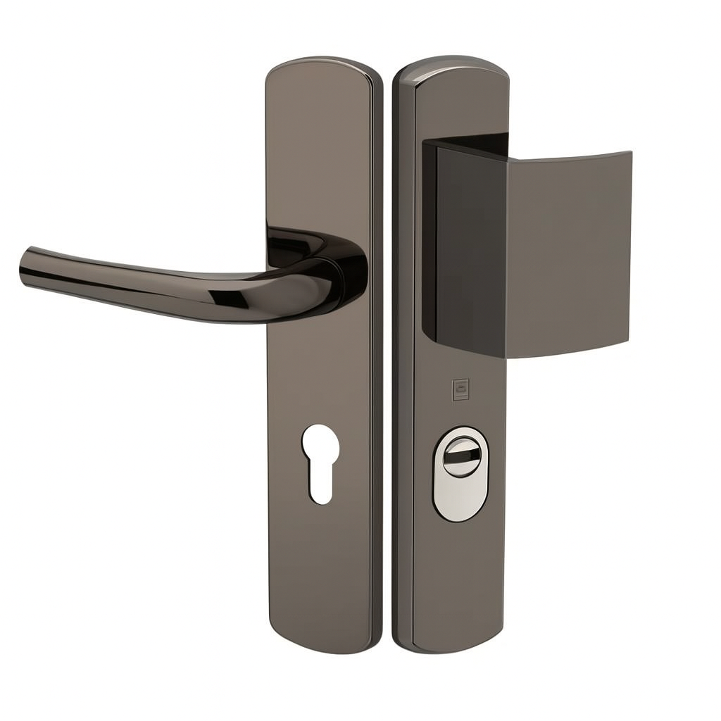 Poignée blindée HERACLES Salomé finition Miroir – Sécurité renforcée pour porte blindée